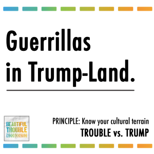 Guerillas in Trump-Land